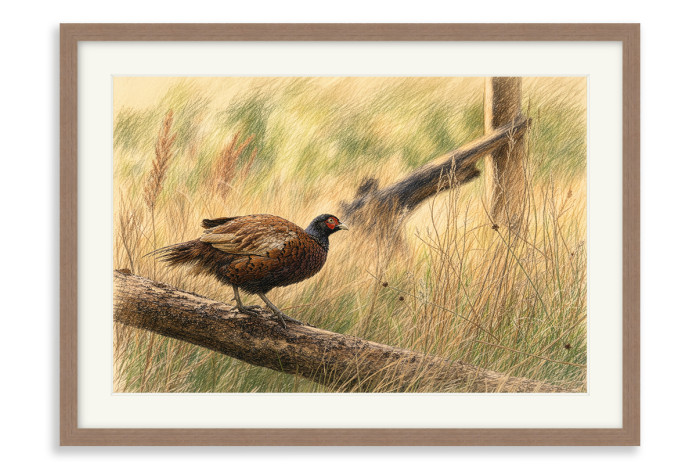 Walnut Frame A5 - 14.8 x21 cm  (+£110.00)